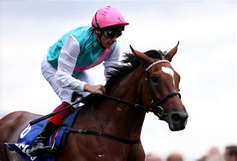 King George VI tips & odds: Horse by horse preview, past .